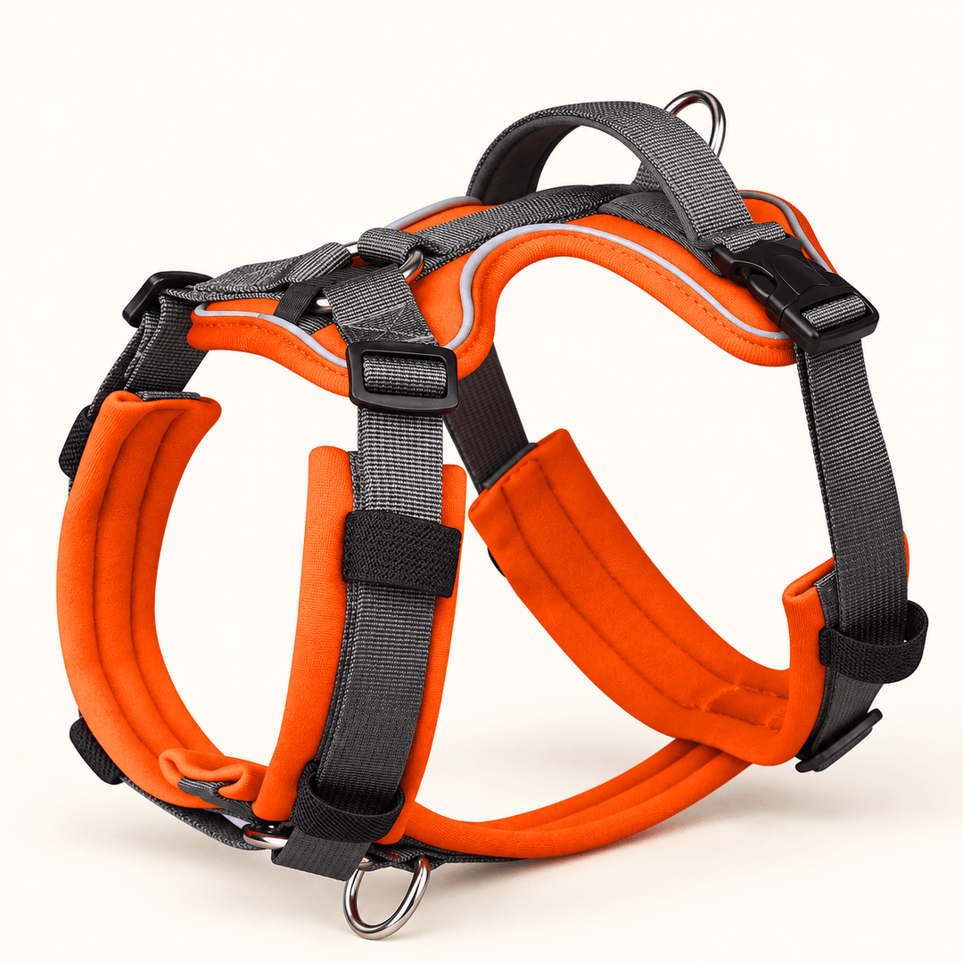 Pawtique TrailControl™ Reflective Handle Dog Harness - Pawtique