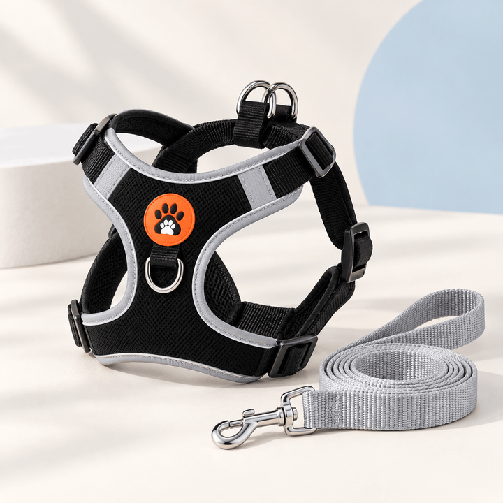Pawtique TrailGlow™ Reflective No-Pull Harness &amp; Leash Set - Pawtique
