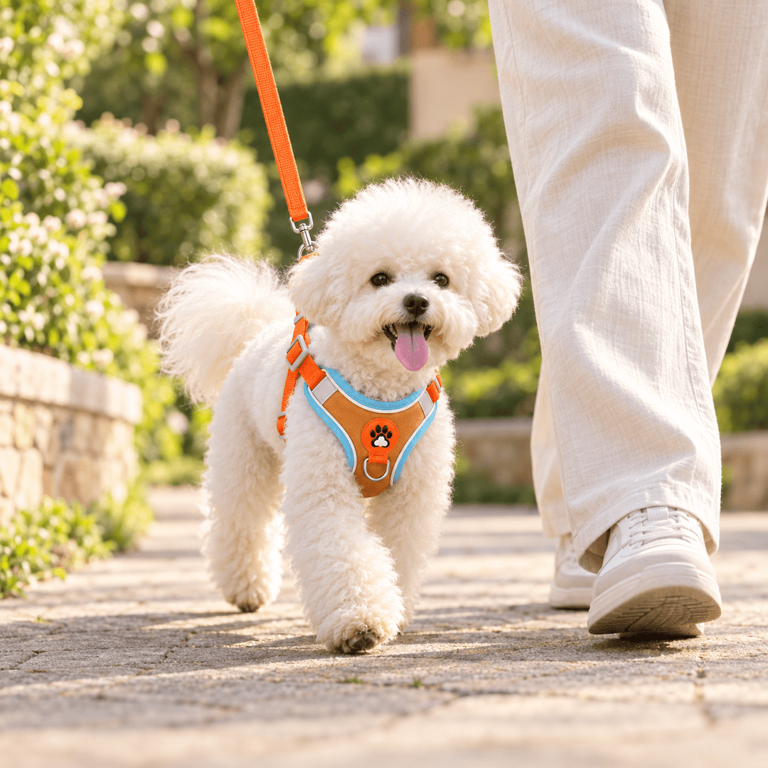 Pawtique TrailGlow™ Reflective No-Pull Harness &amp; Leash Set - Pawtique