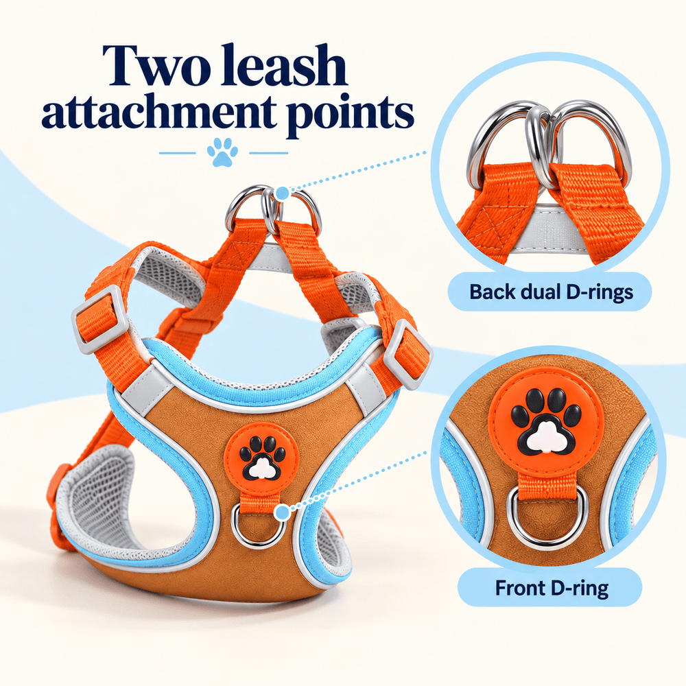 Pawtique TrailGlow™ Reflective No-Pull Harness & Leash Set - Pawtique