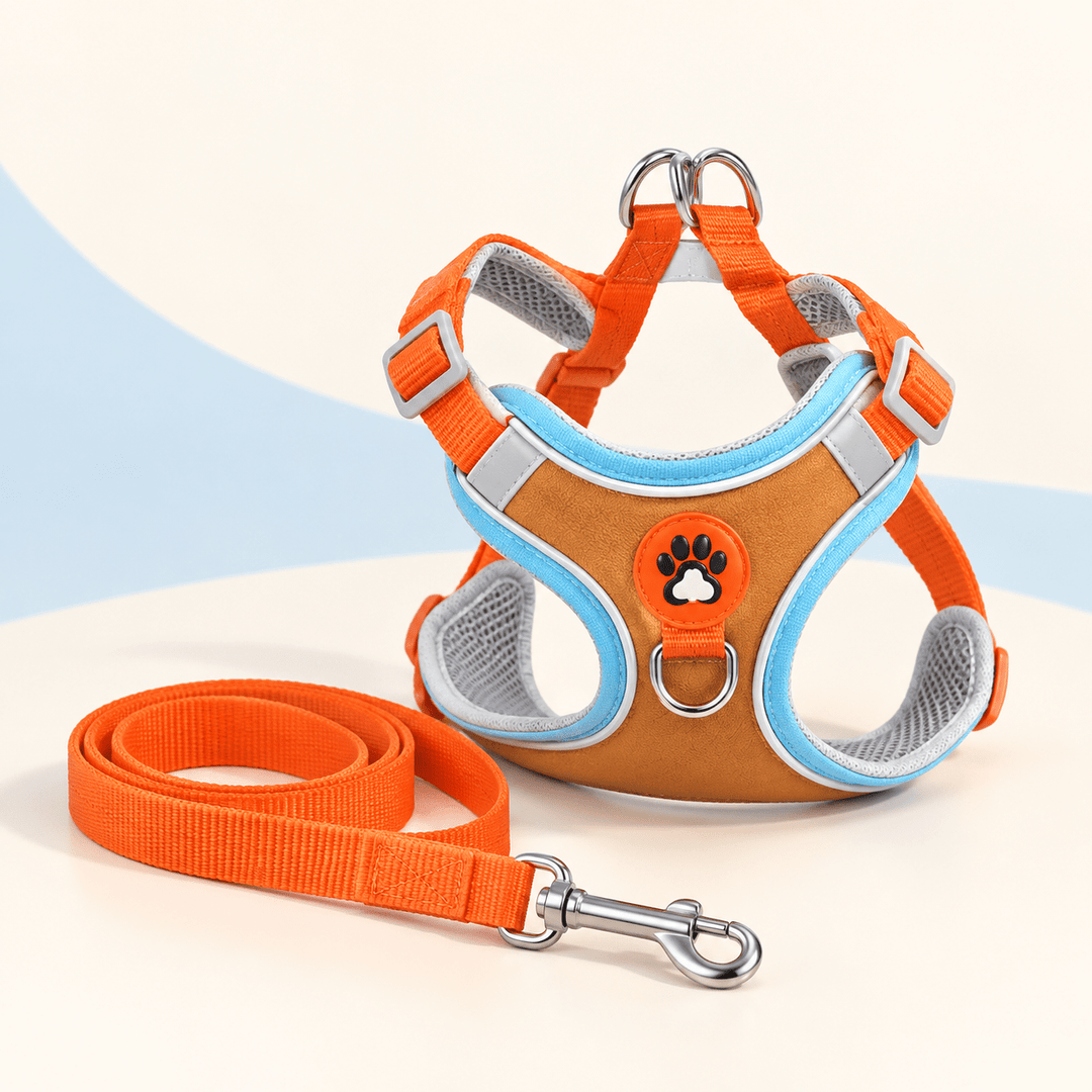 Pawtique TrailGlow™ Reflective No-Pull Harness &amp; Leash Set - Pawtique