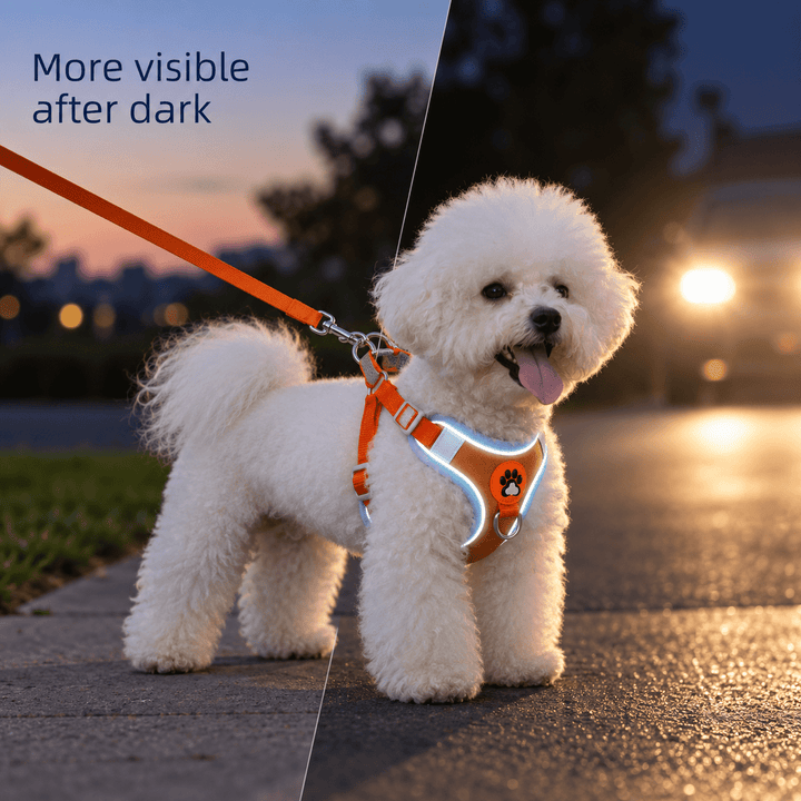 Pawtique TrailGlow™ Reflective No-Pull Harness &amp; Leash Set - Pawtique