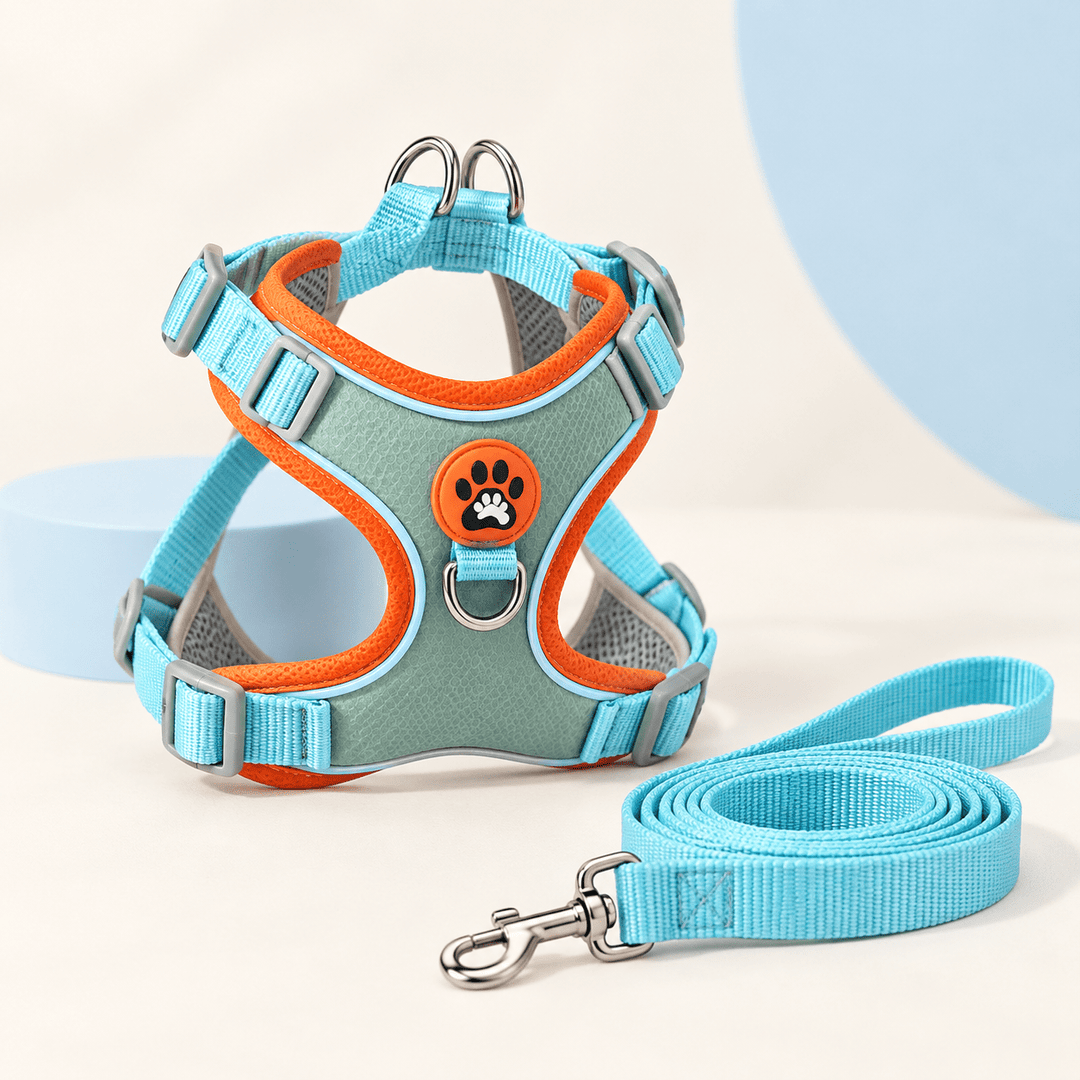 Pawtique TrailGlow™ Reflective No-Pull Harness &amp; Leash Set - Pawtique