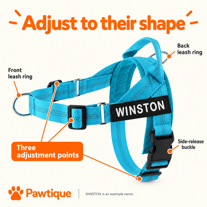 Pawtique TrailMark™ Personalized Reflective Dog Harness - Pawtique