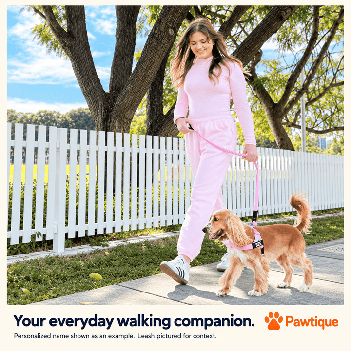 Pawtique TrailMark™ Personalized Reflective Dog Harness - Pawtique