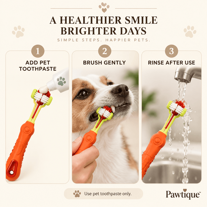 Pawtique TriClean™ Triple-Sided Pet Toothbrush - Pawtique