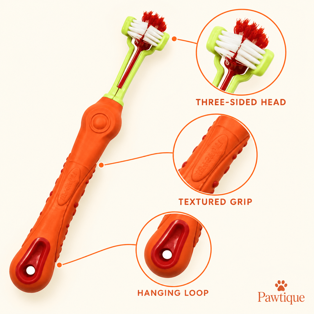 Pawtique TriClean™ Triple-Sided Pet Toothbrush - Pawtique