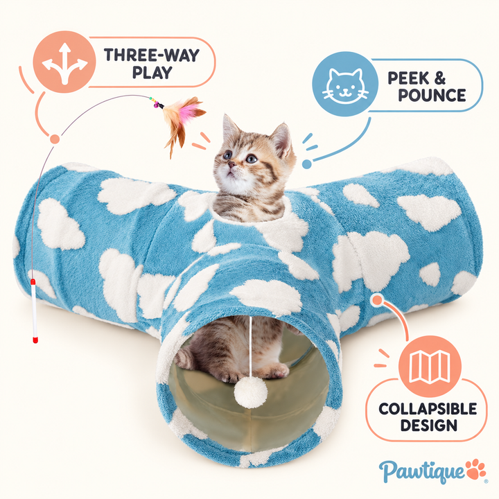 Pawtique three-way cat tunnel features