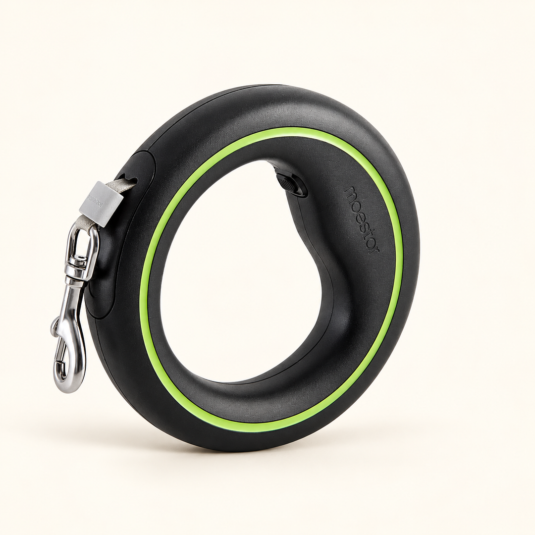 UFO retractable leash black green
