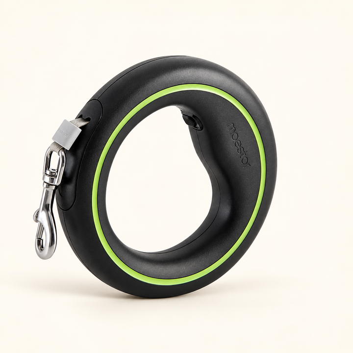 UFO retractable leash black green