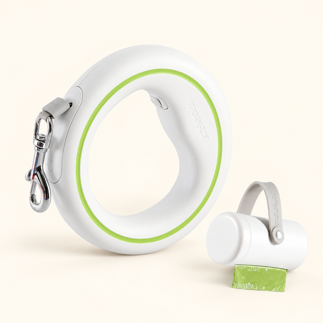UFO retractable leash white green included