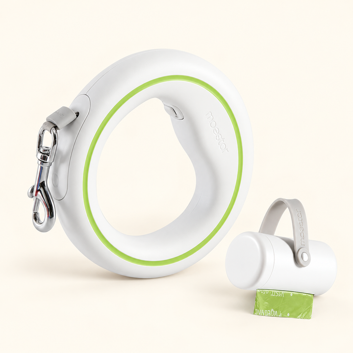 UFO retractable leash white green included