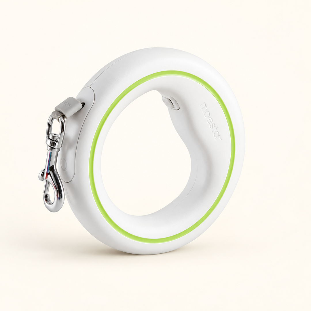 UFO retractable leash white green