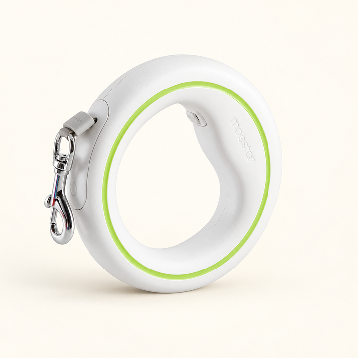 UFO retractable leash white green