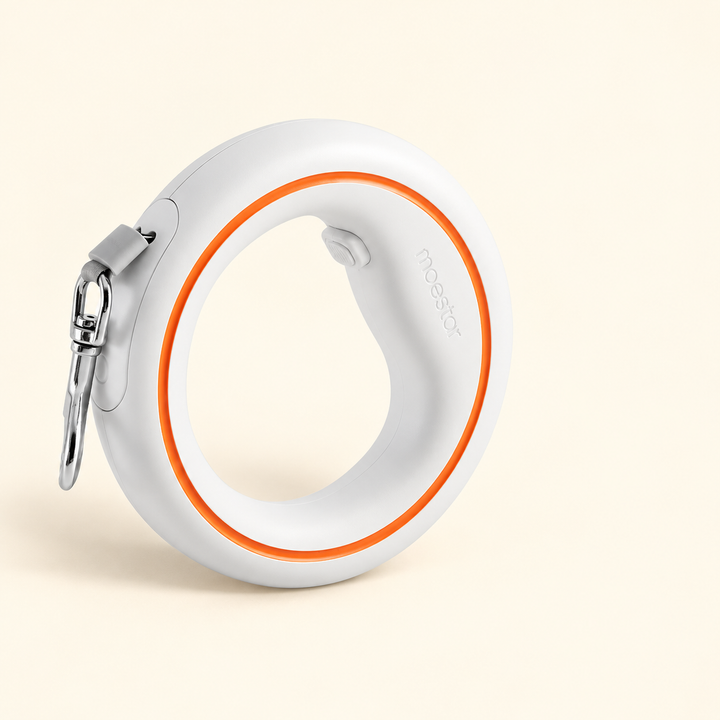 UFO retractable leash white orange