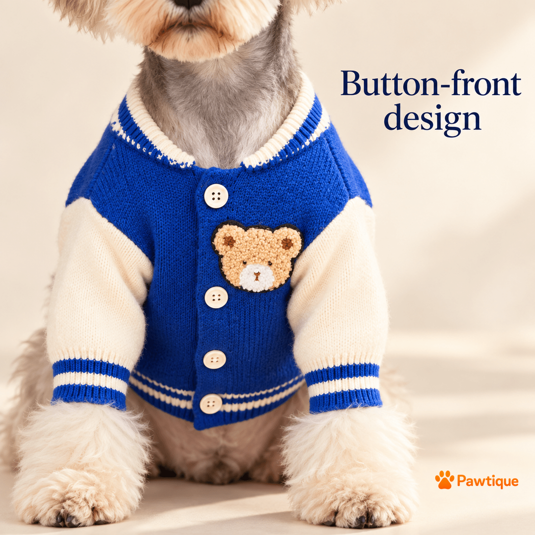 Varsity Bear four-button front and textured bear patch.