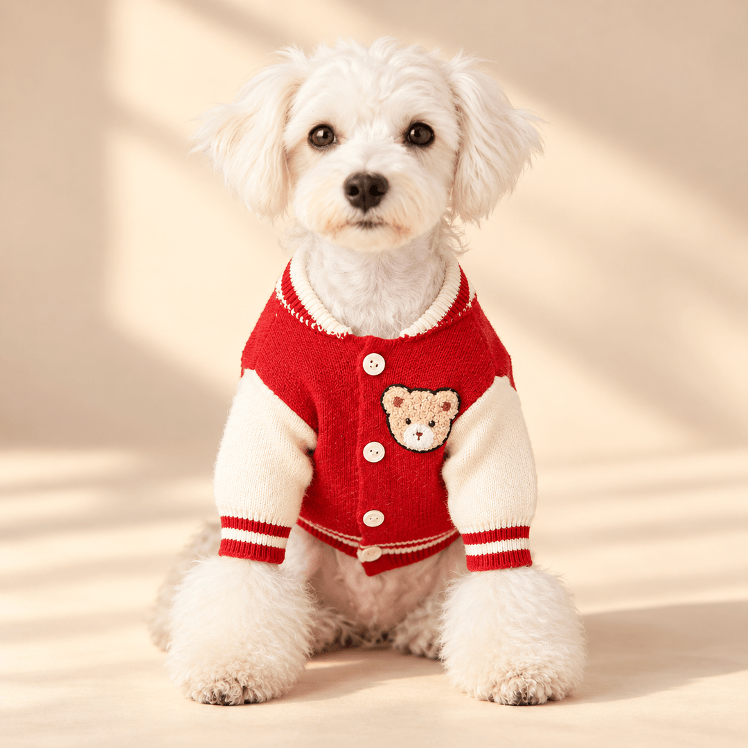 Pawtique Varsity Bear Dog Cardigan - Pawtique