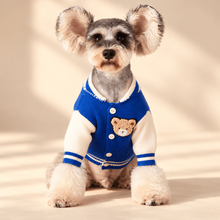 Pawtique Varsity Bear Dog Cardigan - Pawtique