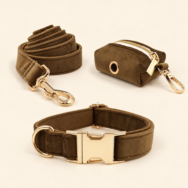 Brown velvet collar, leash and separate waste-bag holder with gold-tone hardware