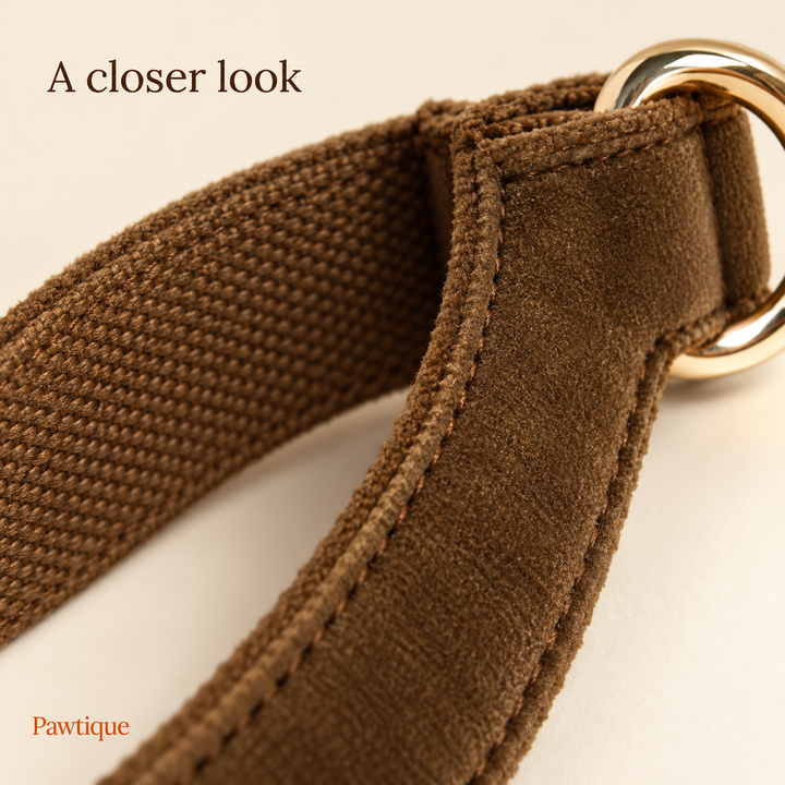 Close-up of brown velvet collar exterior, woven interior and edge stitching