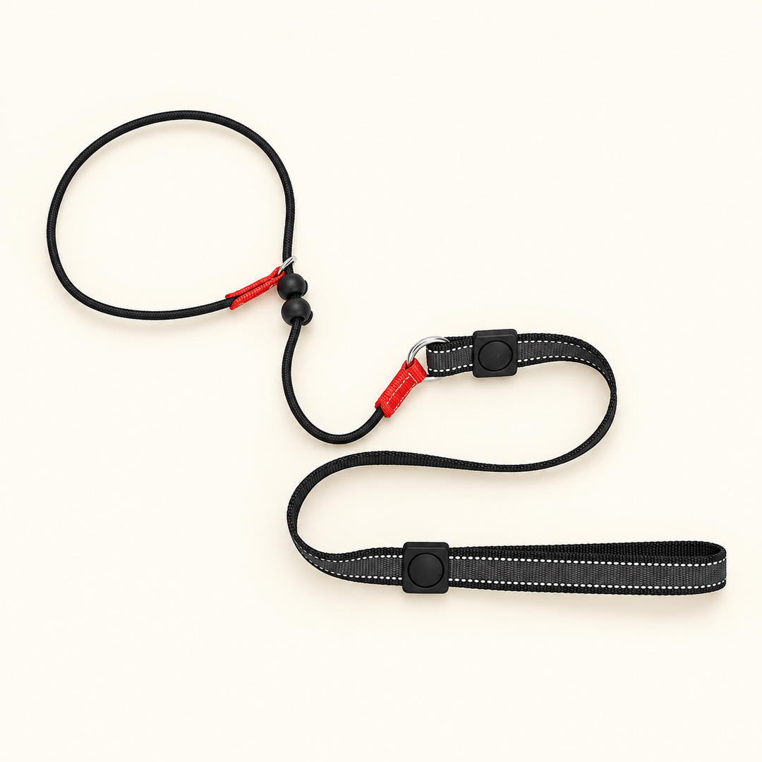 Black (2) 150 cm slip lead with 2.5 cm webbing handle and black rope loop