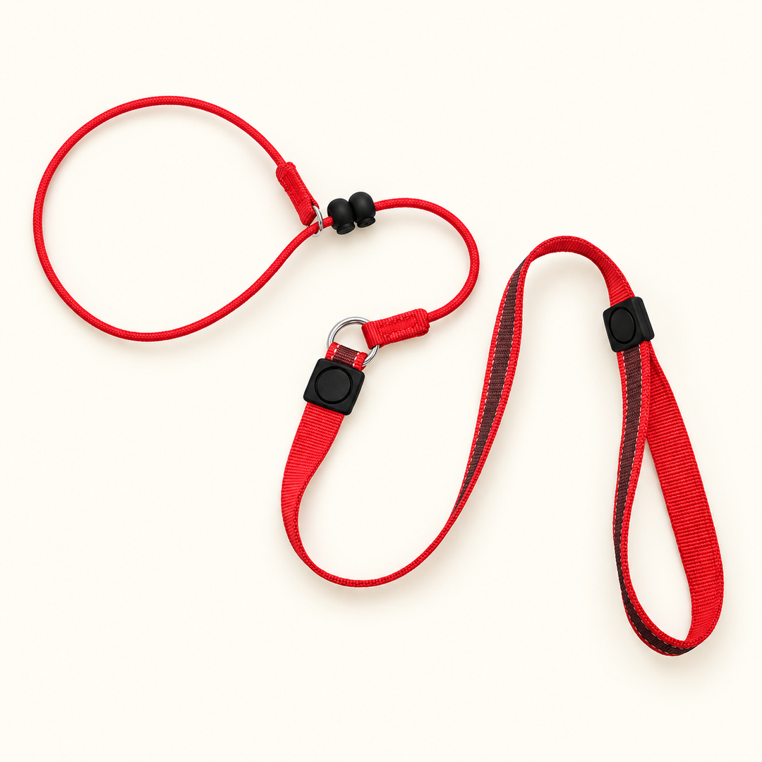 Red (2) 150 cm slip lead with 2.5 cm webbing handle and red rope loop