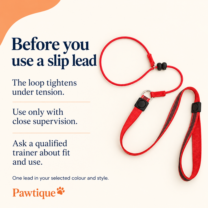 Slip lead supervision guidance and one-lead inclusion information