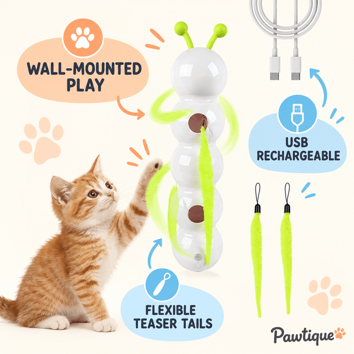 Pawtique WhiskerWall™ Rechargeable Cat Teaser - Pawtique