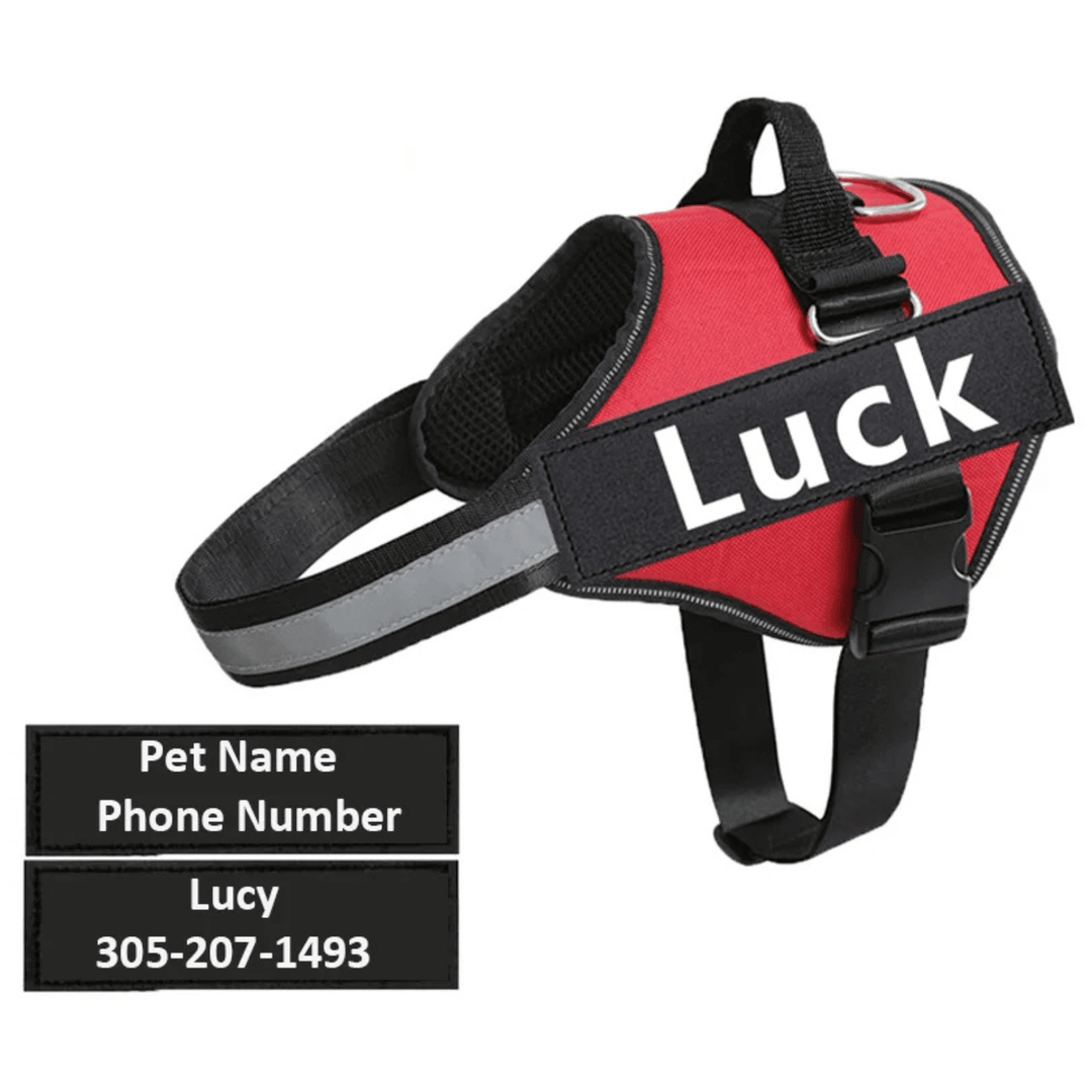 Personalized Reflective Dog Harness – Adjustable Nylon Dog Harness - Pawtique