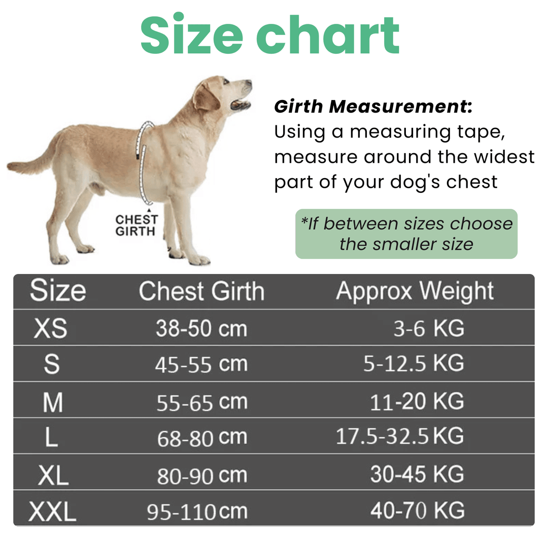 Personalized Reflective Dog Harness – Adjustable Nylon Dog Harness - Pawtique
