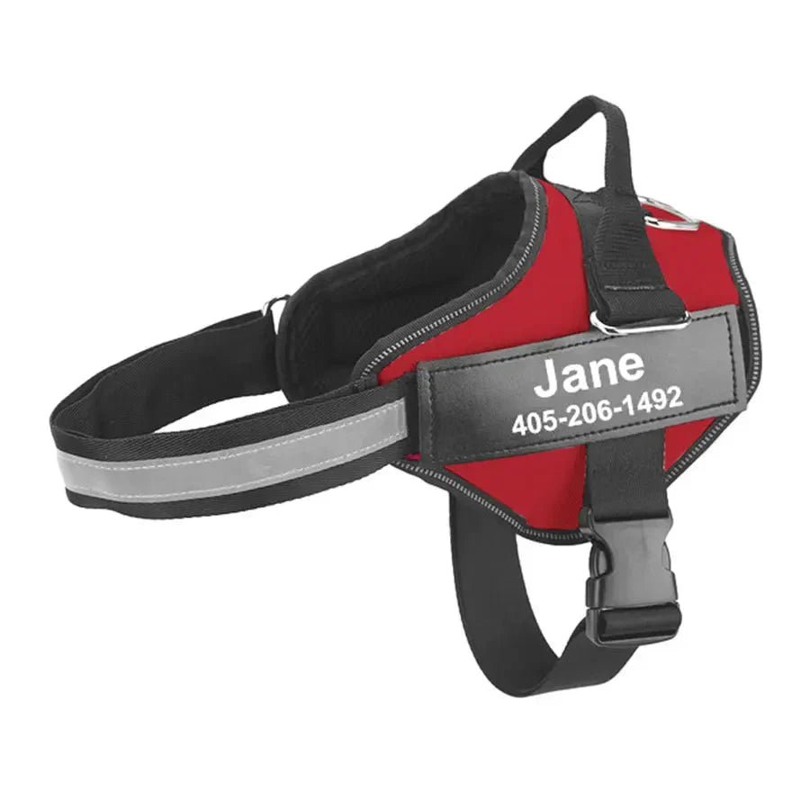 Personalized Reflective Dog Harness – Adjustable Nylon Dog Harness - Pawtique
