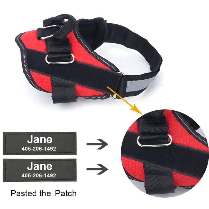 Personalized Reflective Dog Harness – Adjustable Nylon Dog Harness - Pawtique