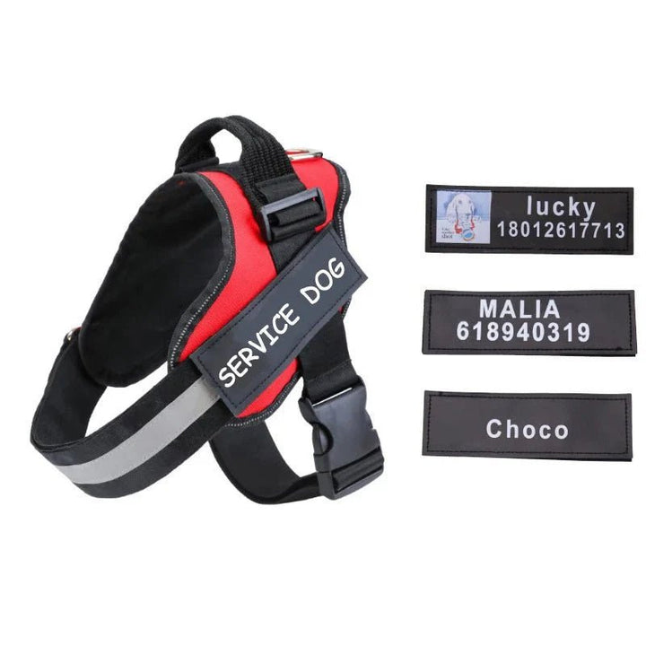 Personalized Velcro Name Tag for Dog Harness - Pawtique