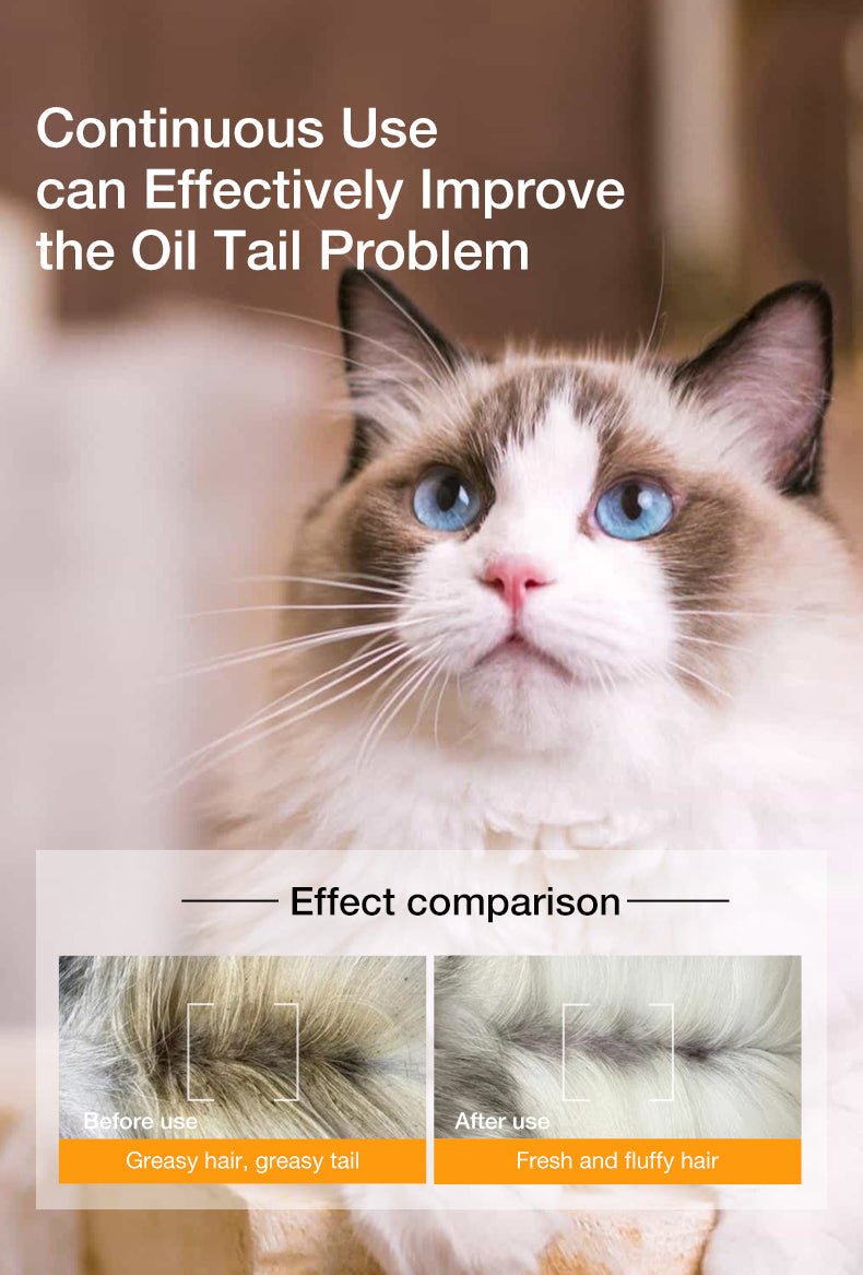 Pet Essential Oil Shampoo Series - Pawtique