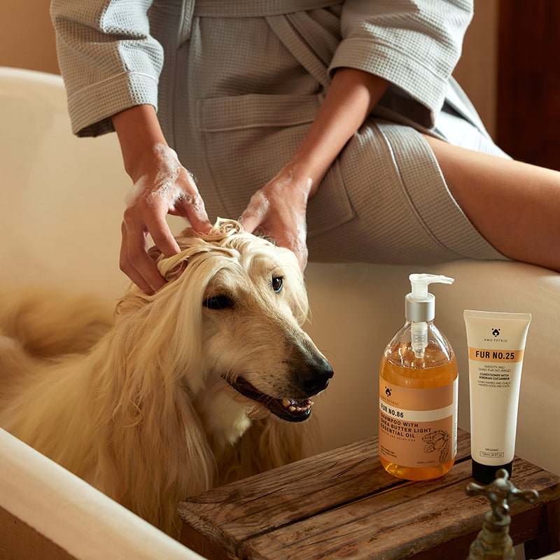 Pet Essential Oil Shampoo Series - Pawtique
