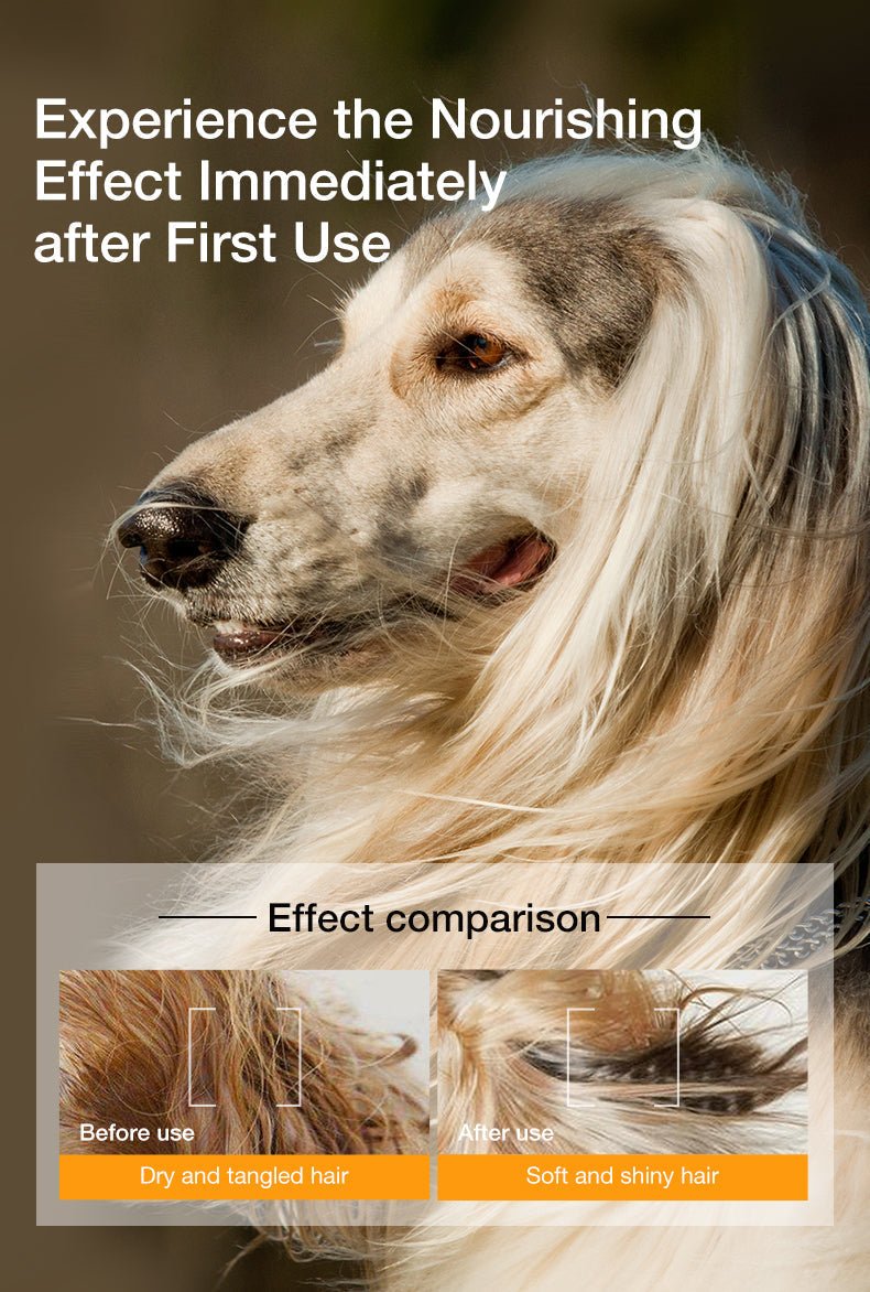 Pet Essential Oil Shampoo Series - Pawtique