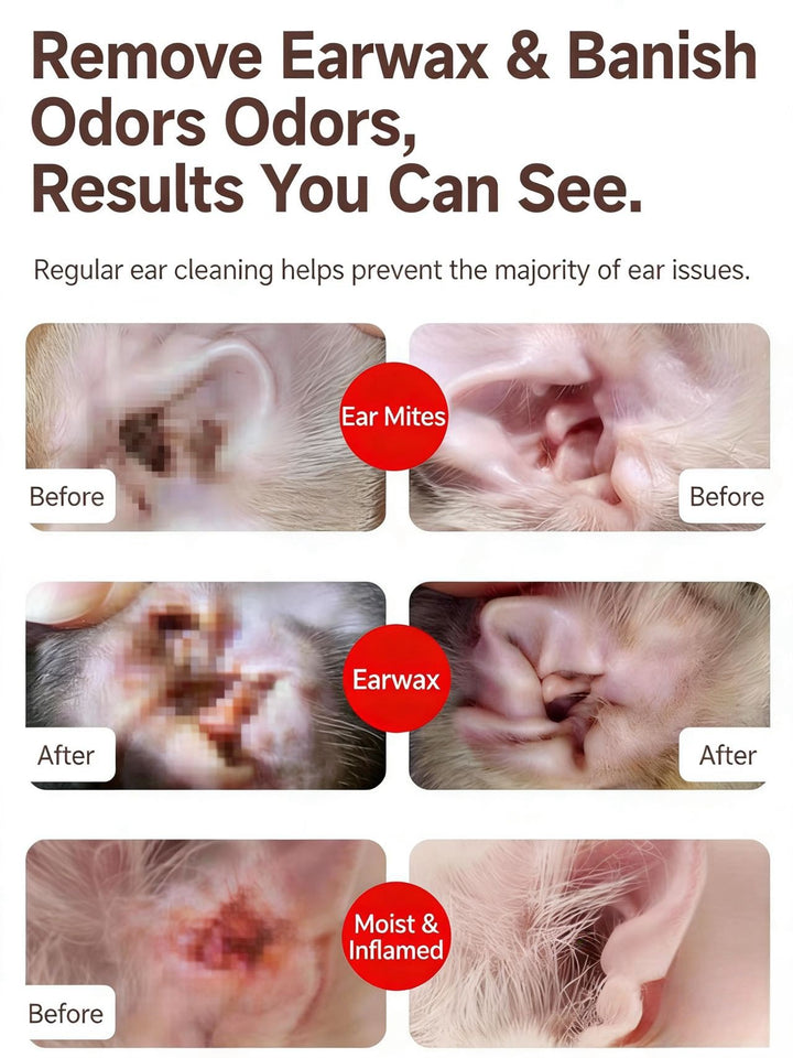 PET EYE AND EAR WIPES - Pawtique