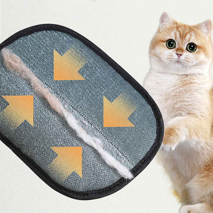 Pet Grooming Deshedding Glove - Pawtique