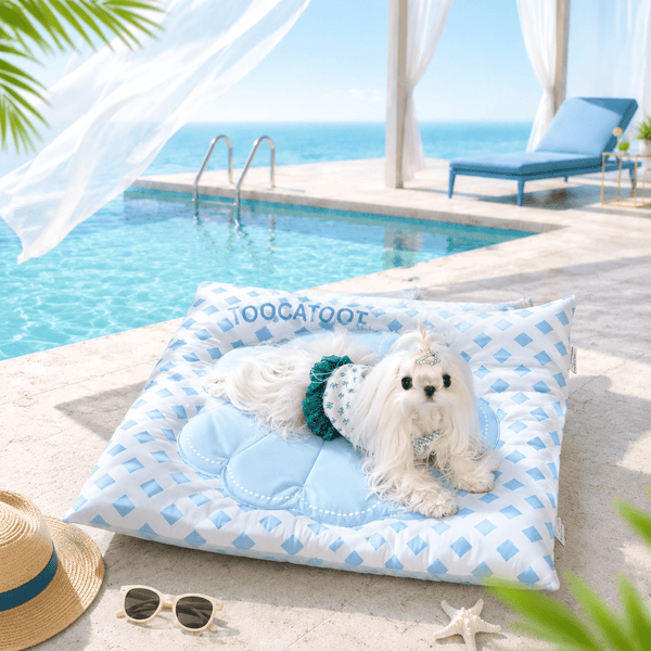 Pet Shell Cooling Bed - Pawtique
