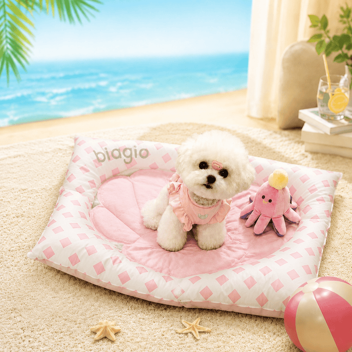 Pet Shell Cooling Bed - Pawtique
