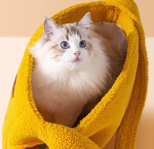 PetCute Animal - shaped Winter Outing Bag - Pawtique