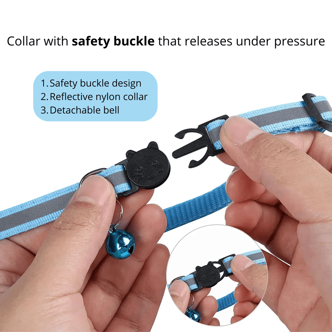 PetSafe - Collar with Airtag Case - Pawtique