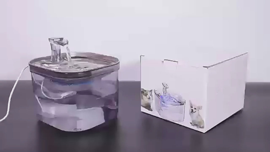 Stainless Steel Pet Water Fountain 2L