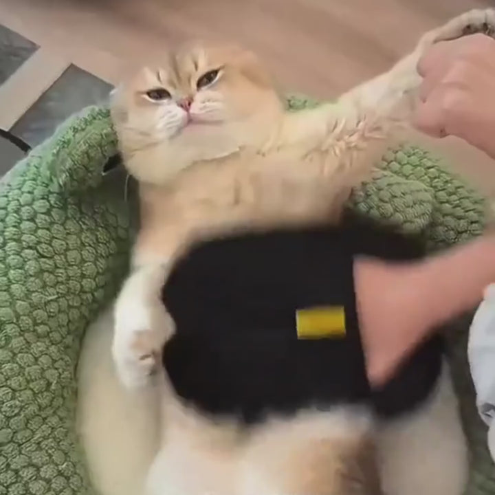 Pet Grooming Deshedding Glove