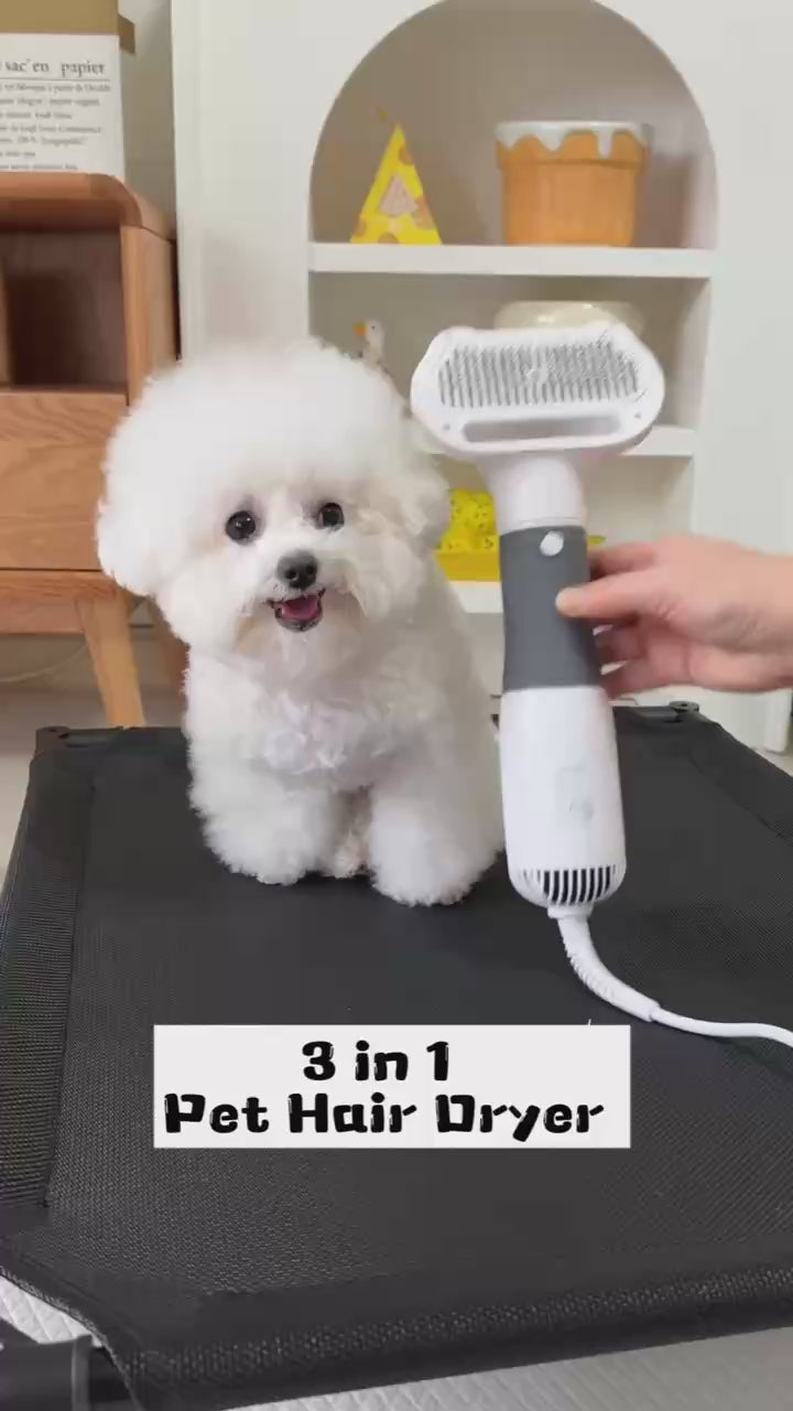 [HOT SALE] 3-in-1 Pet Grooming Hair Dryer
