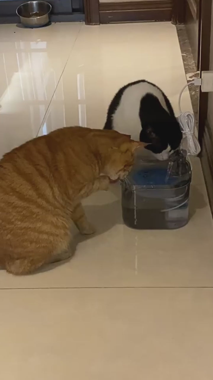 Stainless Steel Pet Water Fountain 2L
