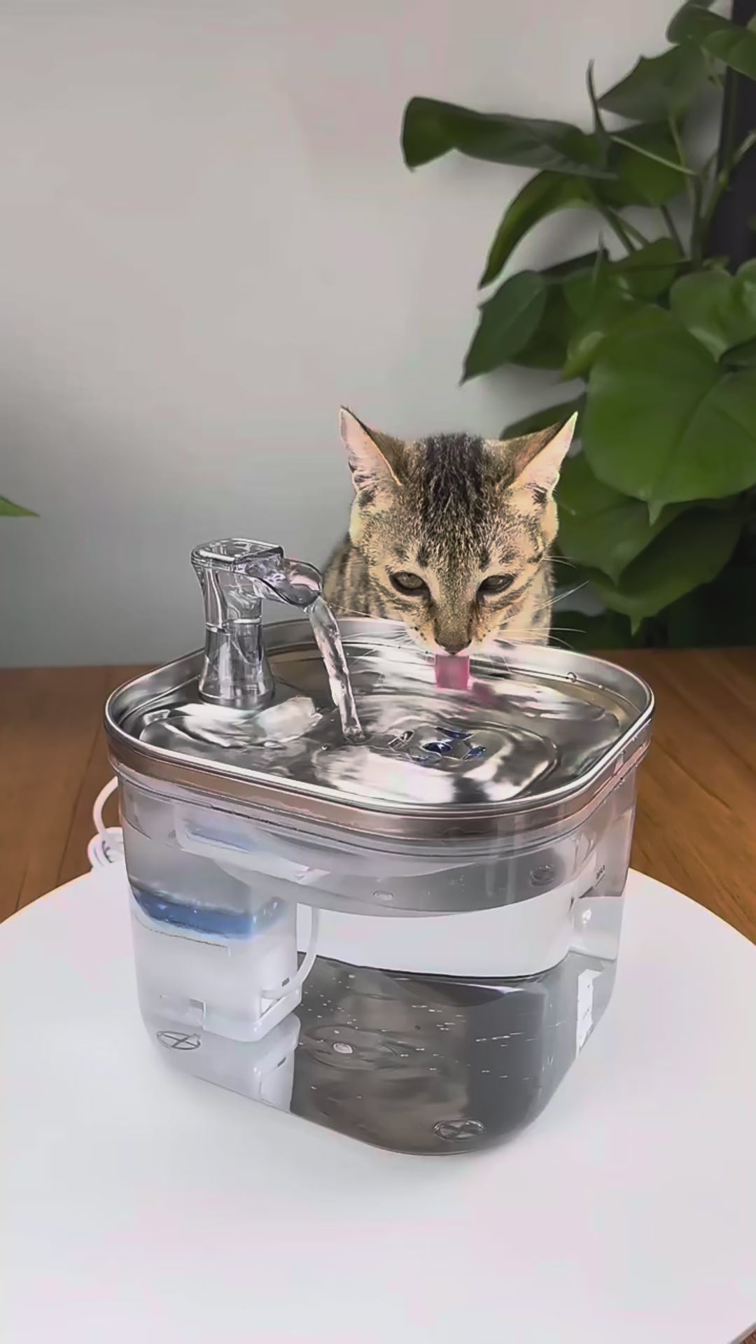 Stainless Steel Pet Water Fountain 2L