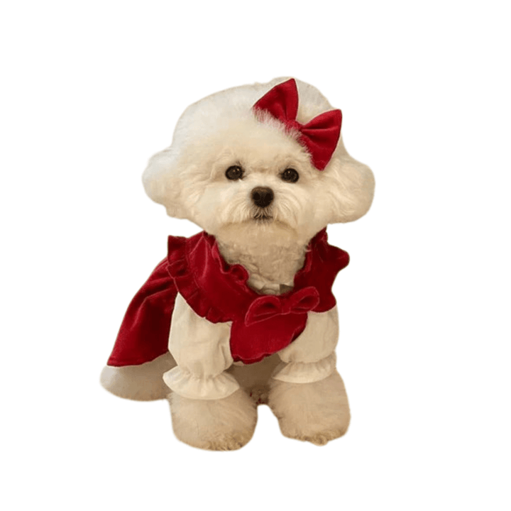 Princess Dress Set - Pawtique