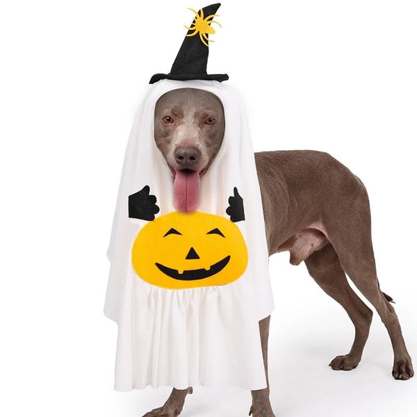 Pumpkin Ghost Costume - Pawtique