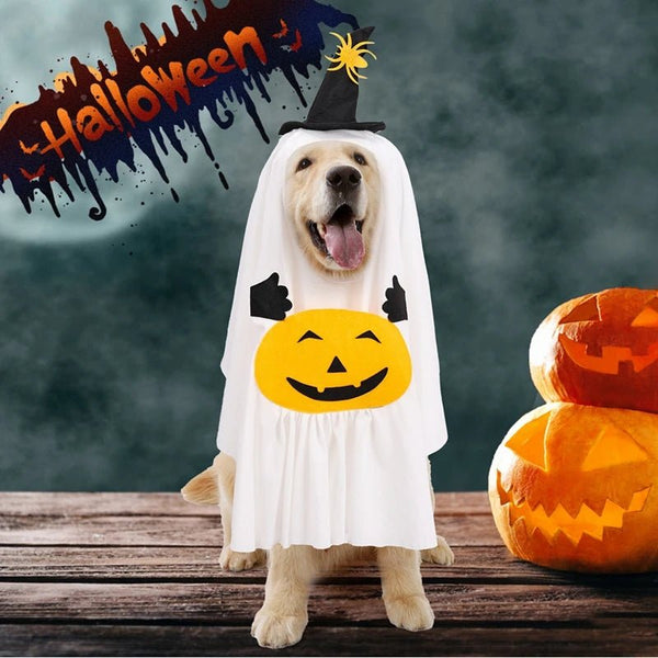 Pumpkin Ghost Costume - Pawtique